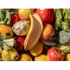 Как осушитель воздуха помогает хранить продукты