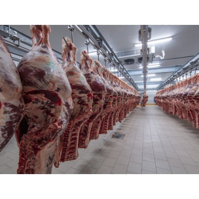 Осушувачі повітря для виробництва м'ясних продуктів
