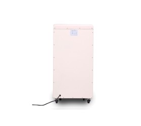 Промышленный осушитель воздуха Celsius DH-150, фото 3