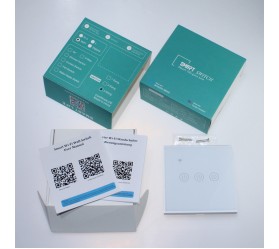 Умный сенсорный Wi-Fi выключатель 1-канальный Tuya Maxton MX-DS-101JL-1