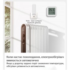 Bluetooth-сенсор температури та вологості з дисплеєм Maxton MX-TH05, фото 10 Bluetooth-сенсор температури та вологості з дисплеєм Maxton MX-TH05, фото 10