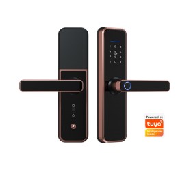 Умный дверной замок Wi-Fi 6-в-1 Maxton MX-X5