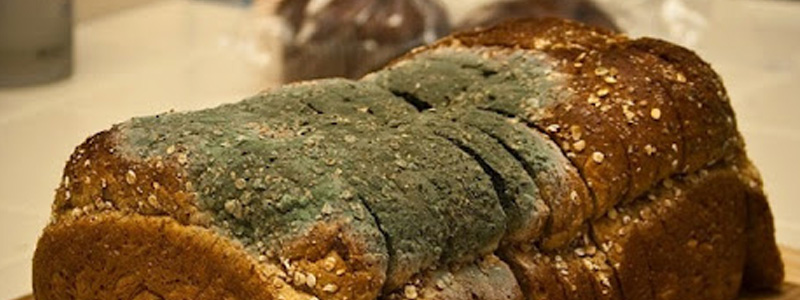 влажность на производстве продуктов питания